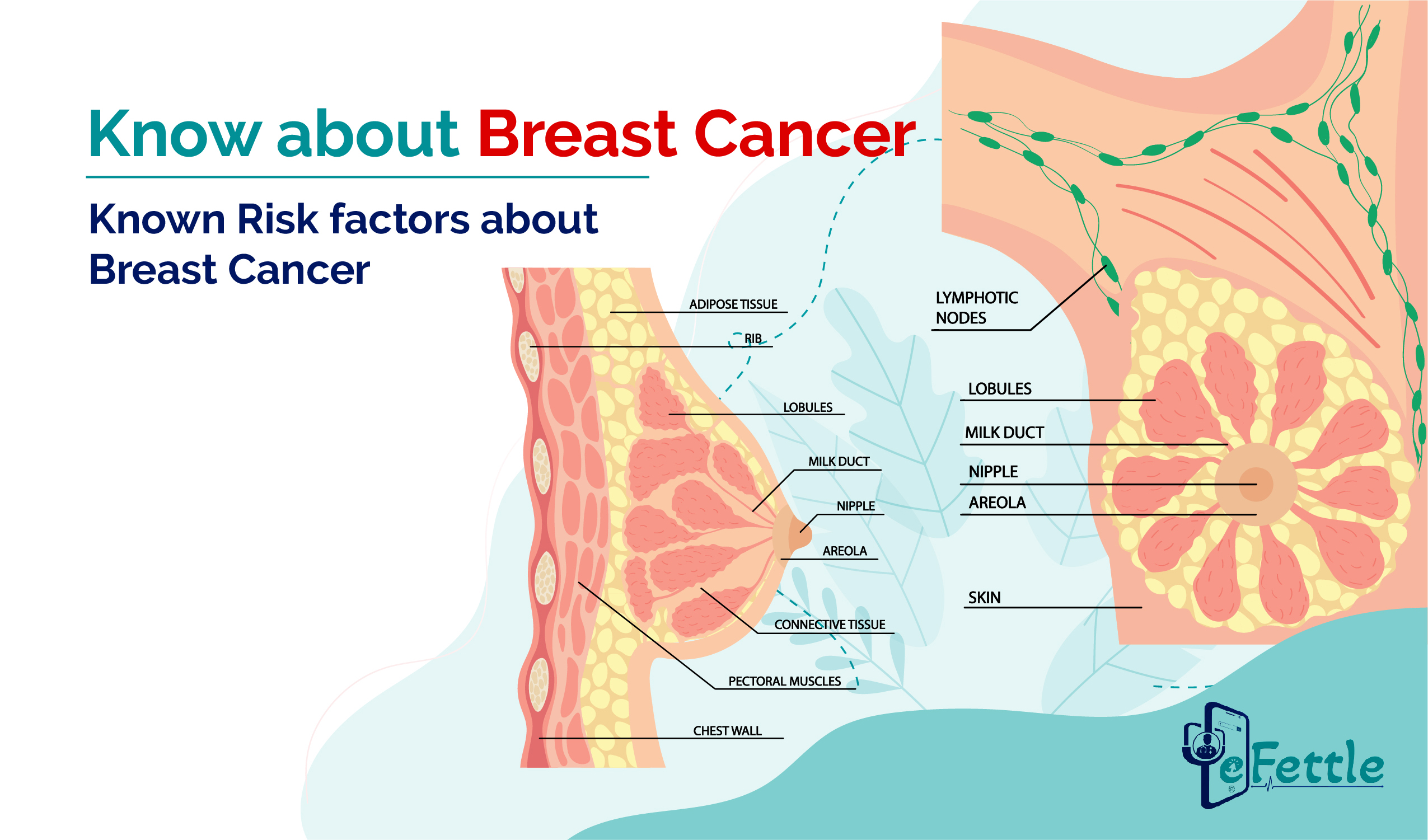 Know about BREAST CANCER